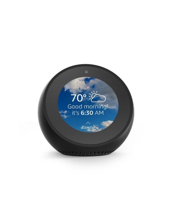 Aliquam egestas libero ac